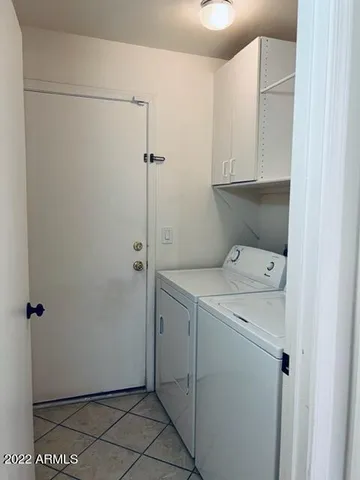 a street view with large trees and a wooden fence