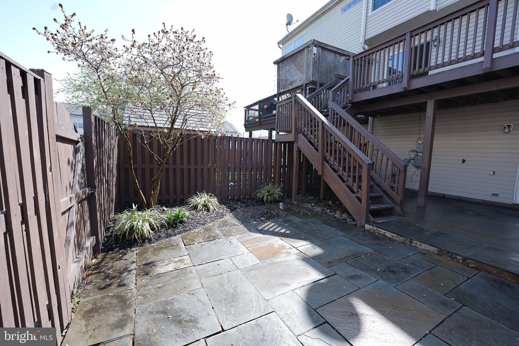 862 Vanderbilt Terrace Southeast Leesburg, VA 20175 - Photo 36 of 41 Magnolia Tree in fenced-in backyard