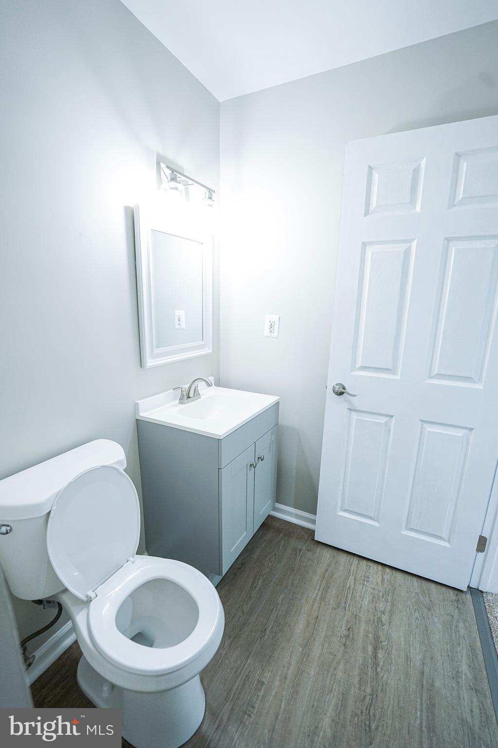 862 Vanderbilt Terrace Southeast Leesburg, VA 20175 - Photo 9 of 41 Family Room Bathroom