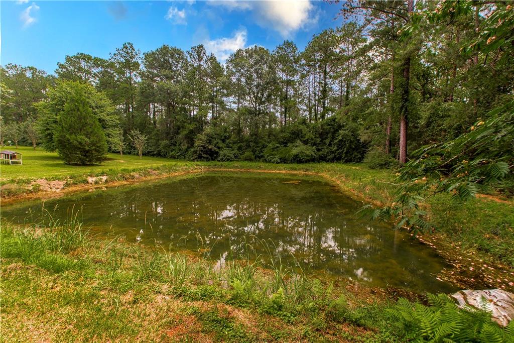 15780 Irene Road Folsom, LA 70437 - Photo 35 of 46 Gallery Image 35