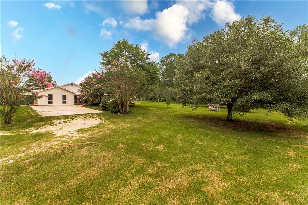 15780 Irene Road Folsom, LA 70437 - Photo 40 of 46 Gallery Image 40