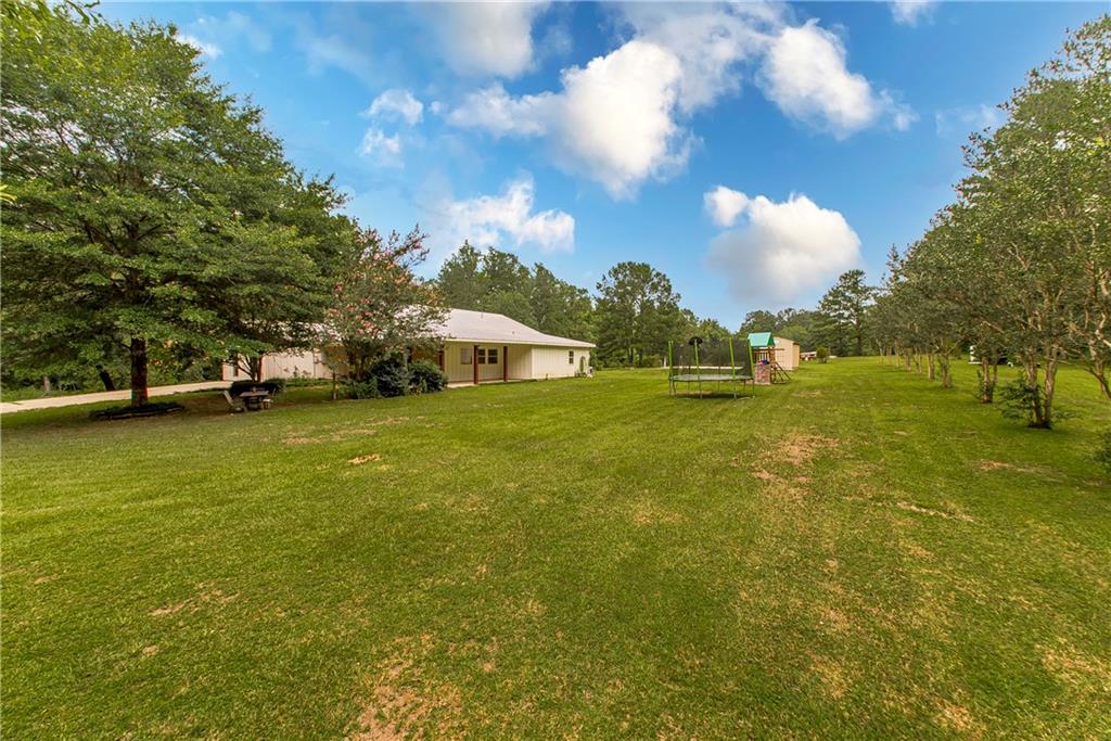15780 Irene Road Folsom, LA 70437 - Photo 42 of 46 Gallery Image 42