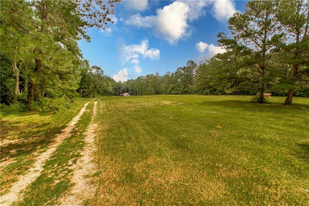 15780 Irene Road Folsom, LA 70437 - Photo 44 of 46 Gallery Image 44