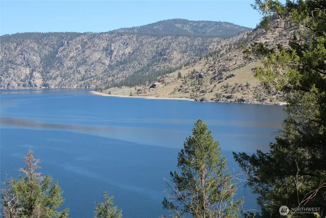 a view of a tree with a yard