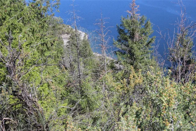 a view of a large yard with lots of bushes