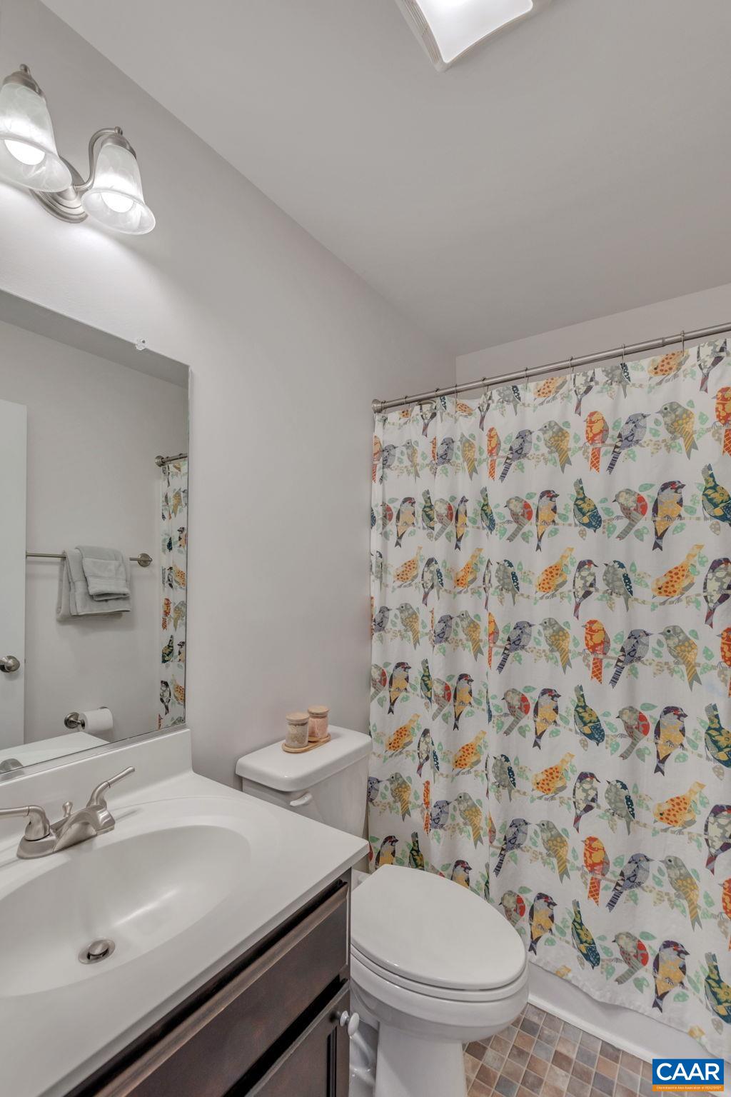5543 Summerdean Road Crozet, VA 22932 - Photo 22 of 59 a bathroom with a sink a toilet and a mirror