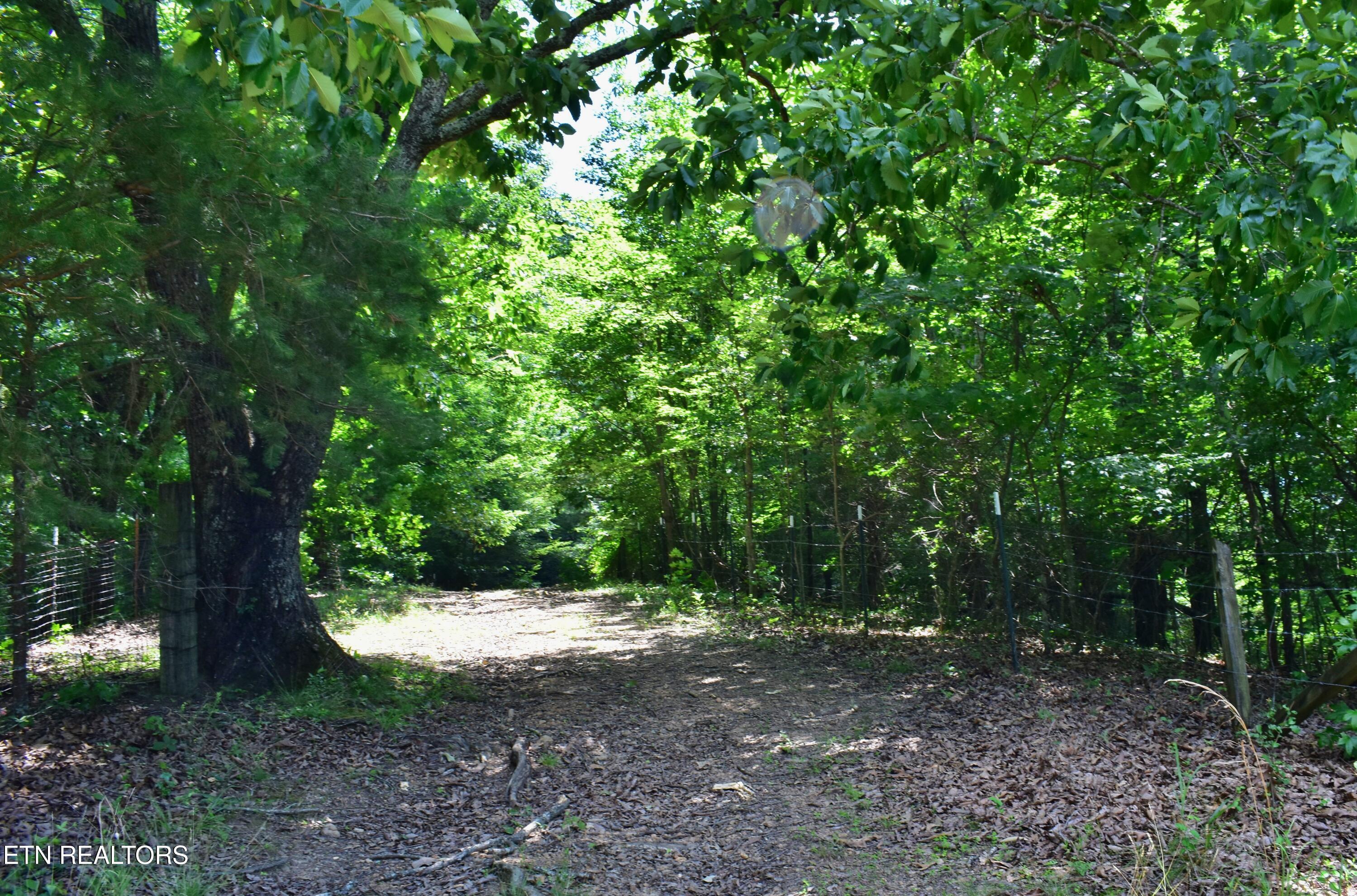 1319 Ideal Valley Road Spring City, TN 37381 - Photo 47 of 49 DSC_0781