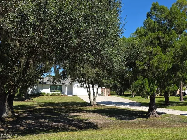 a view of a tree in the middle of a yard
