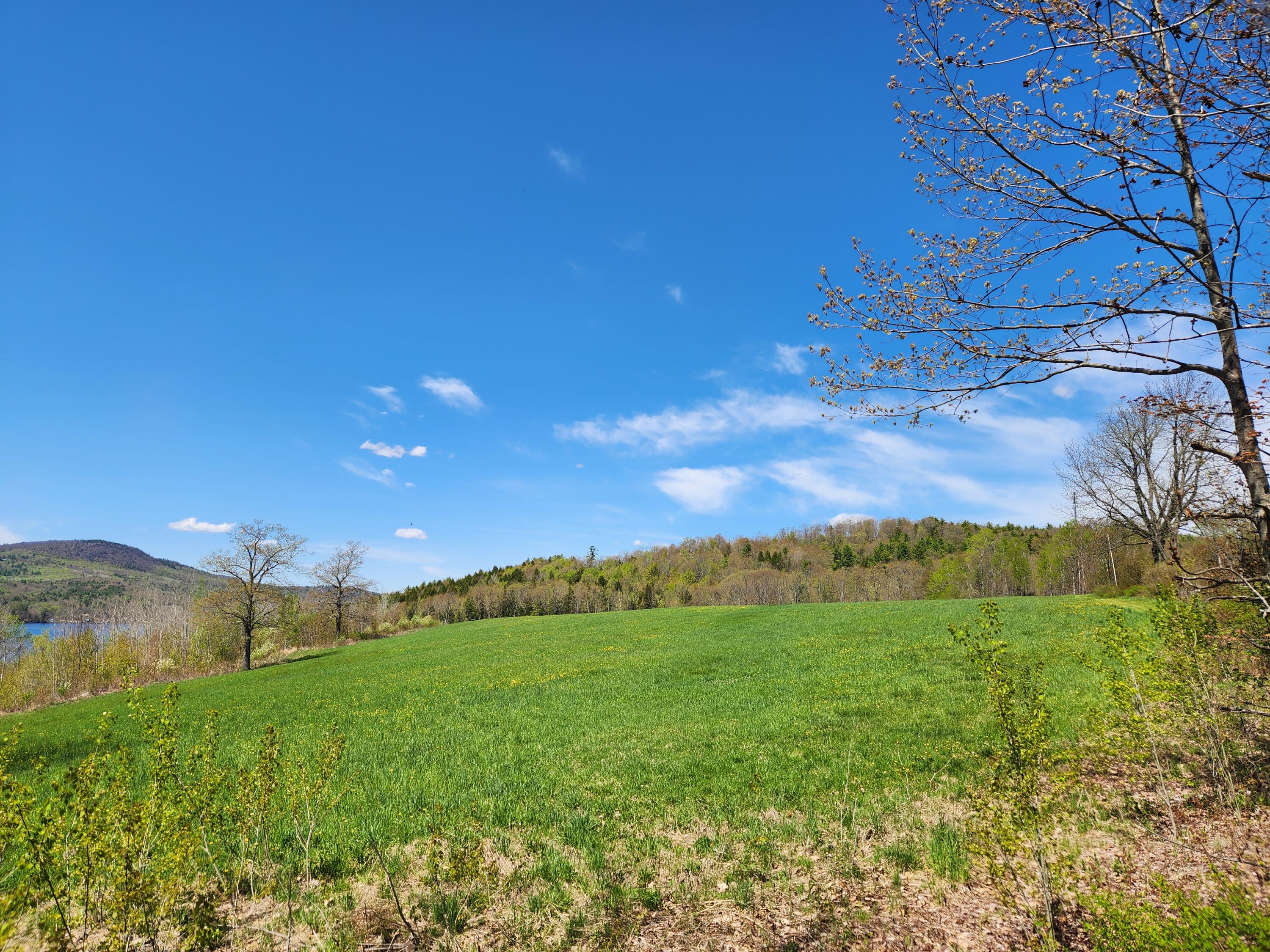 286 Staples Hill Road Canton, ME 04221 - Photo 39 of 118 Large hayfield