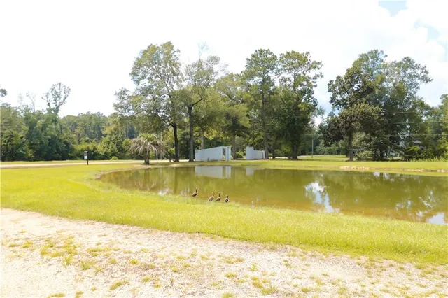 $749,000 | 39388 Sable Lane, Ponchatoula, LA 70454