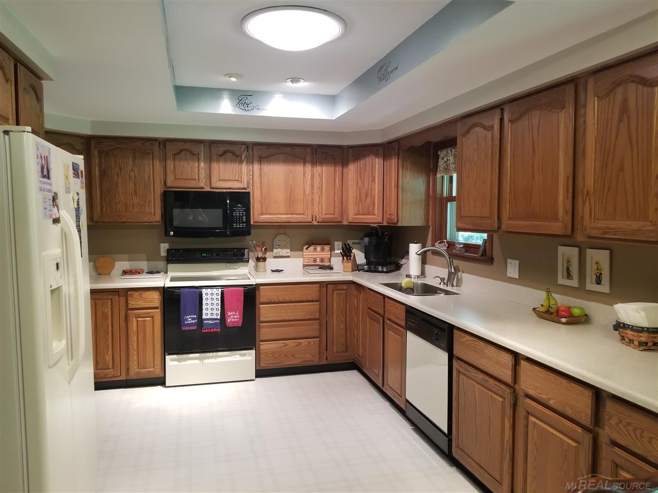 7123 County Farm Road Lexington, MI 48450 - Photo 14 of 46 solar light in the kitche
