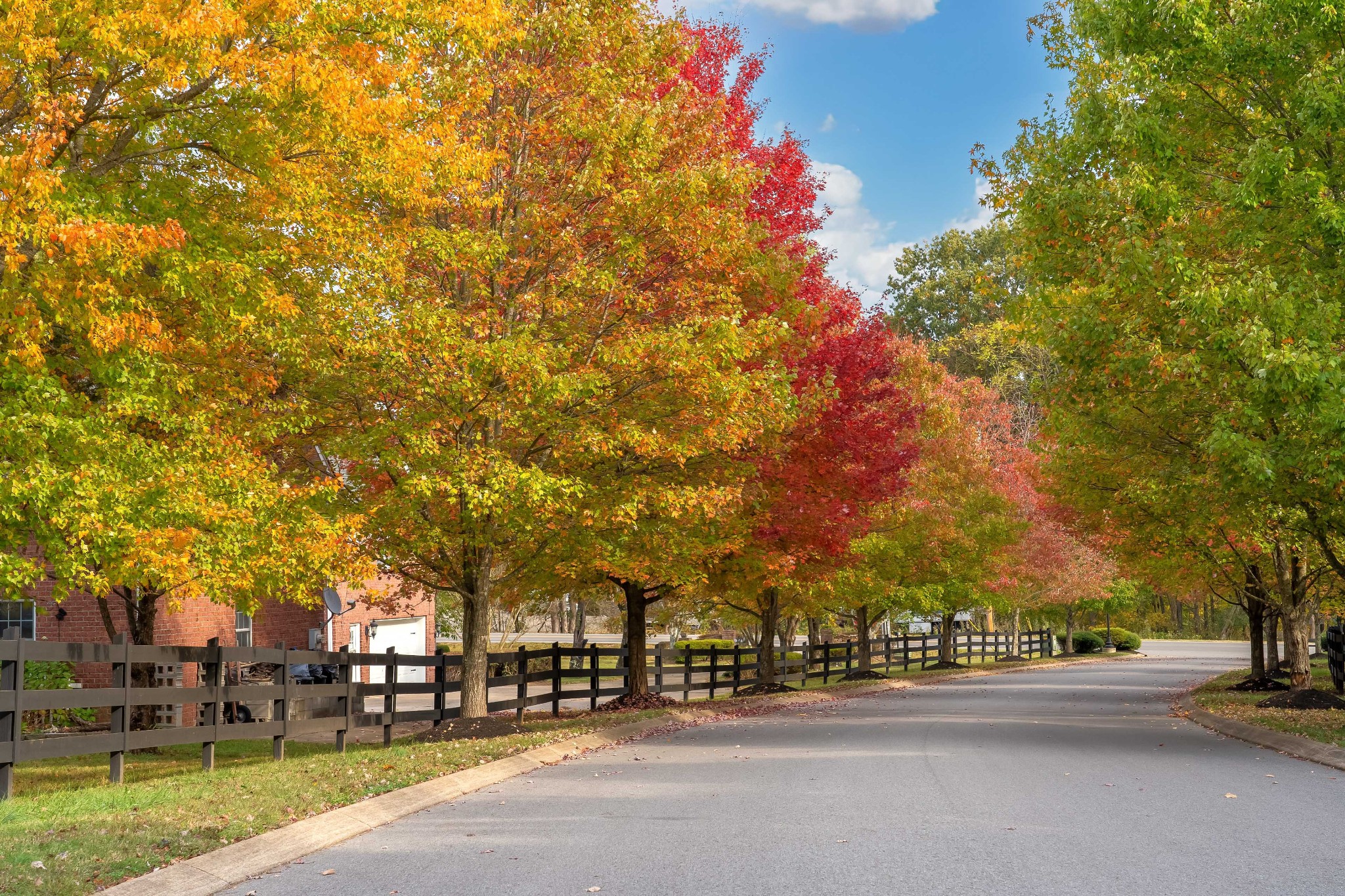 3679 Tyree Springs Road Cottontown, TN 37048 - Photo 1 of 46 What a welcoming street to come home to.