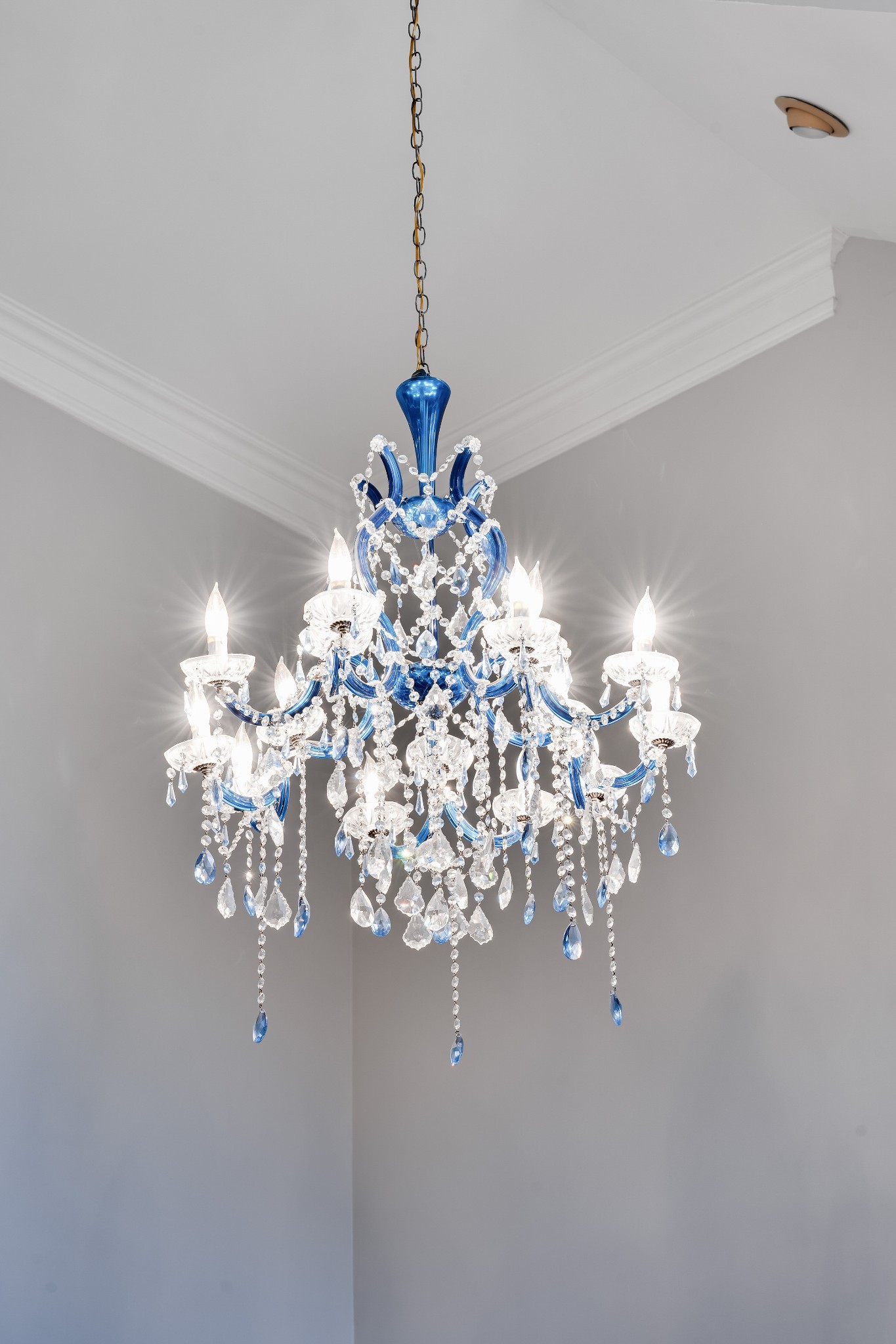 3679 Tyree Springs Road Cottontown, TN 37048 - Photo 21 of 46 This chandelier is just stunning!