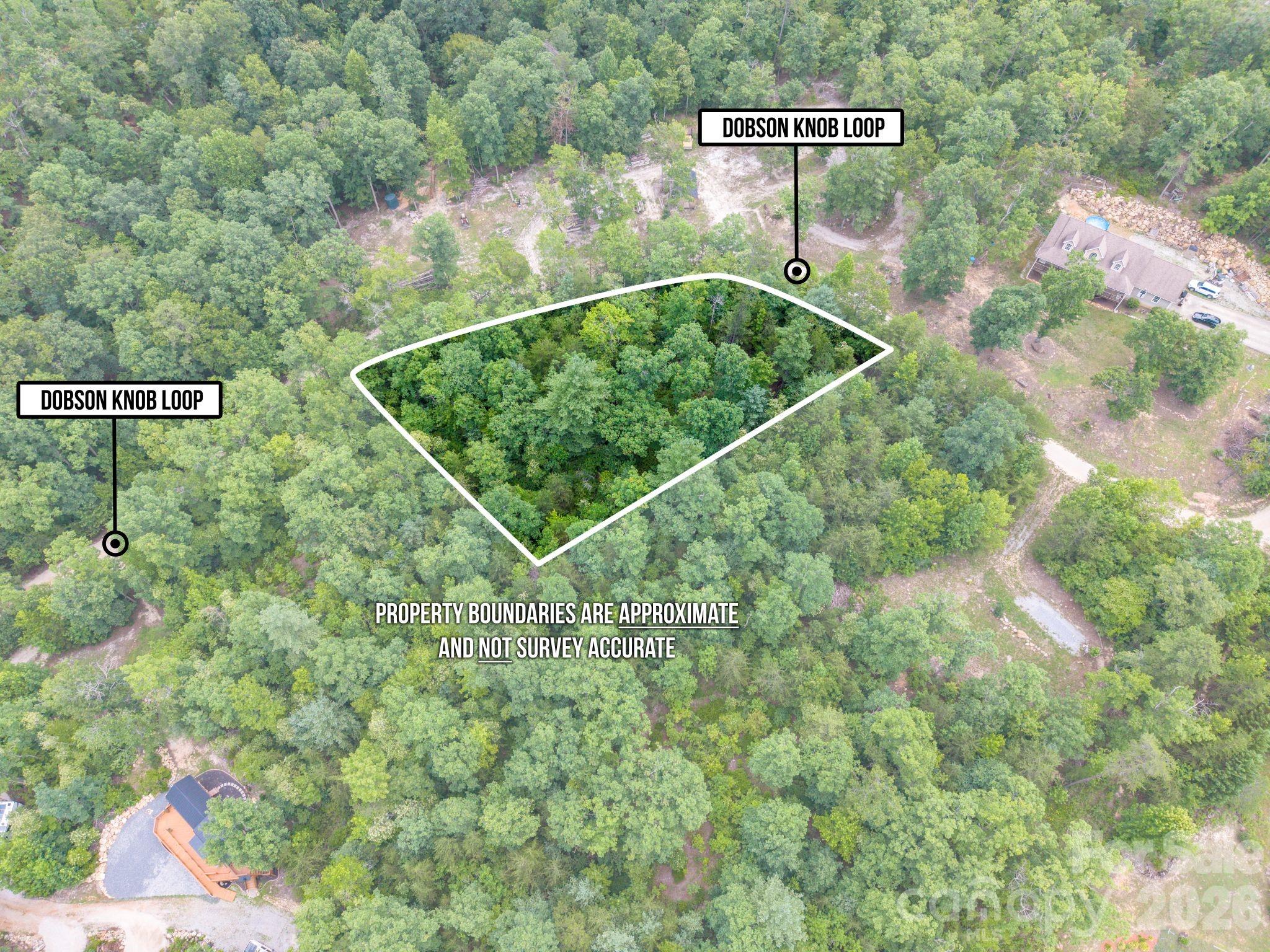 6 Dobsons Knob Loop Road Marion, NC 28752 - Photo 8 of 14