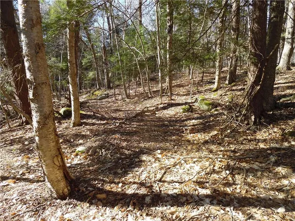 a view of outdoor space with trees