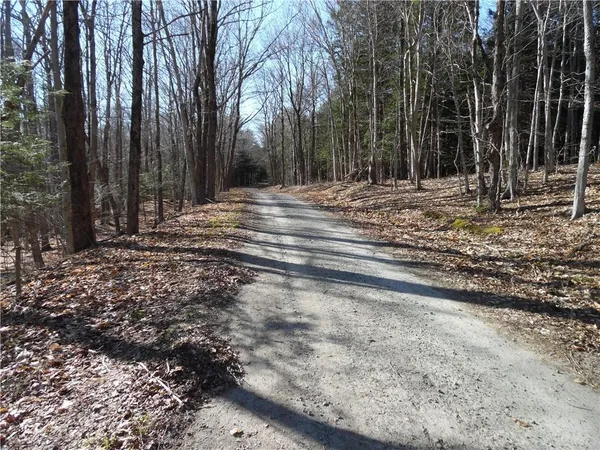 a view of outdoor space with trees