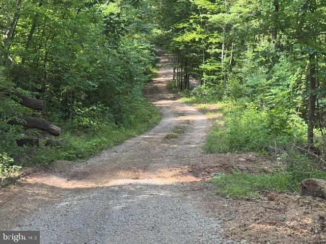 Tbd Locust Grove Road Thornton, WV 26440 - Photo 6 of 24
