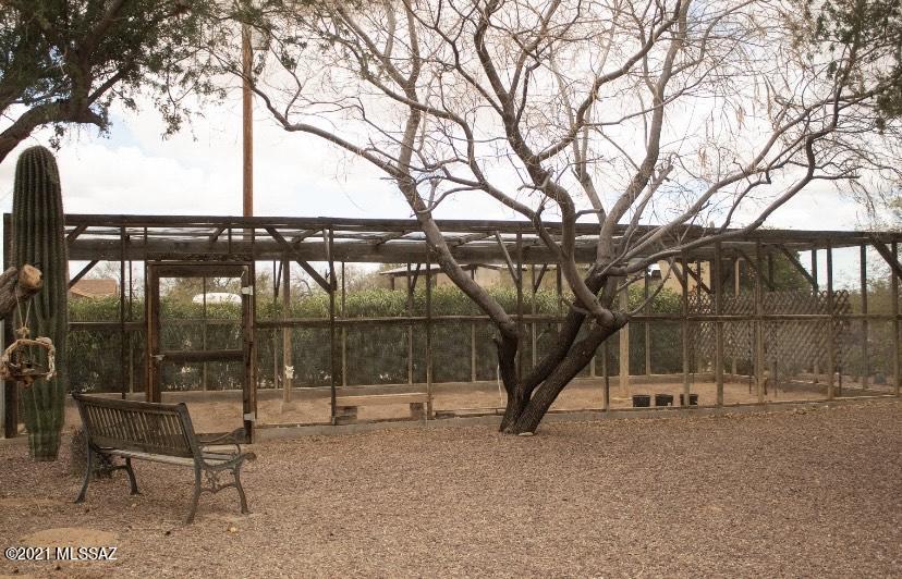 6333 North Calvin Road Tucson, AZ 85743 - Photo 25 of 31