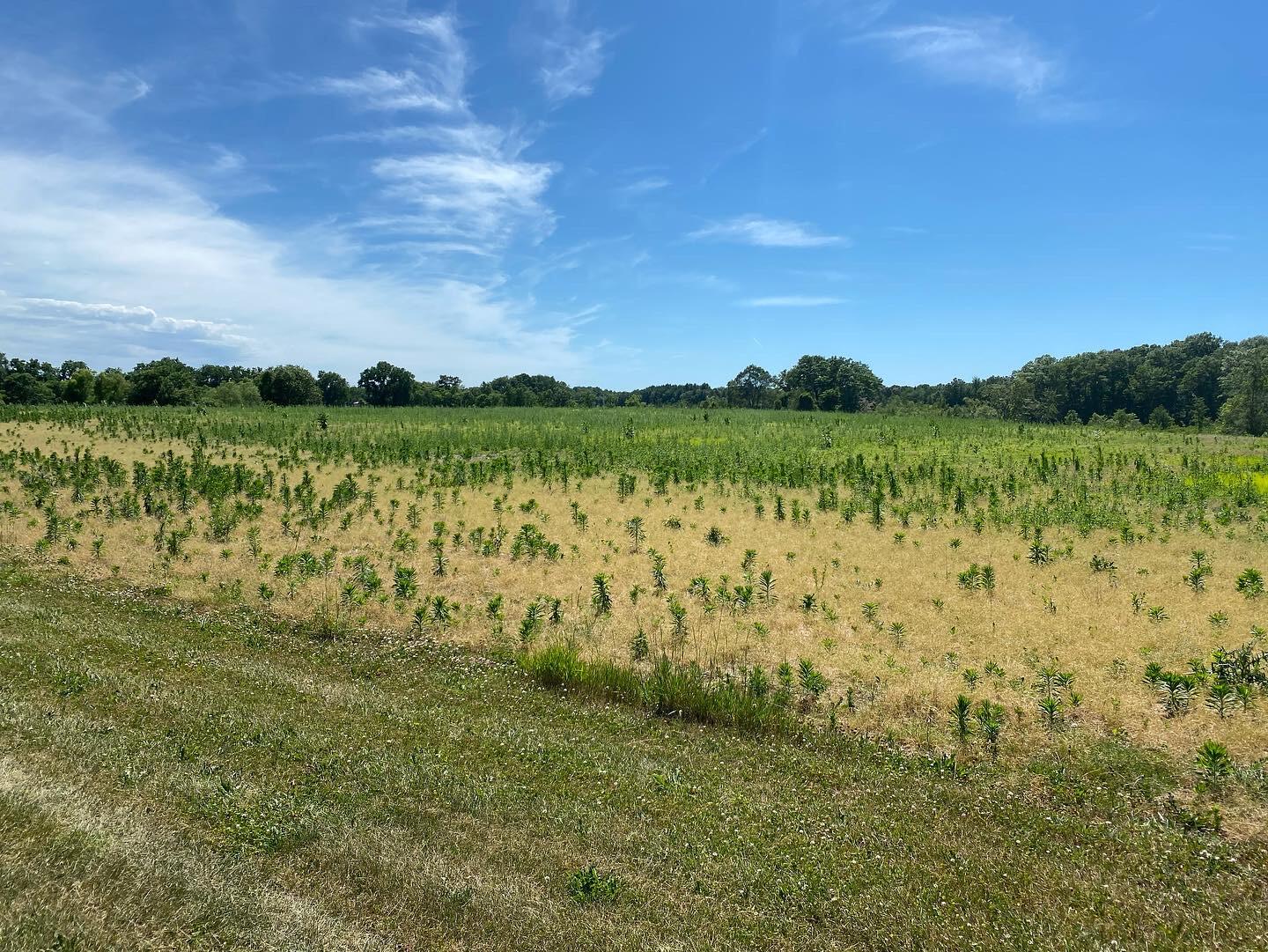 V/l West Pifer Road Delton, MI 49046 - Photo 25 of 26 AEA617DA-EF1D-432E-861A-9CB9206D128B
