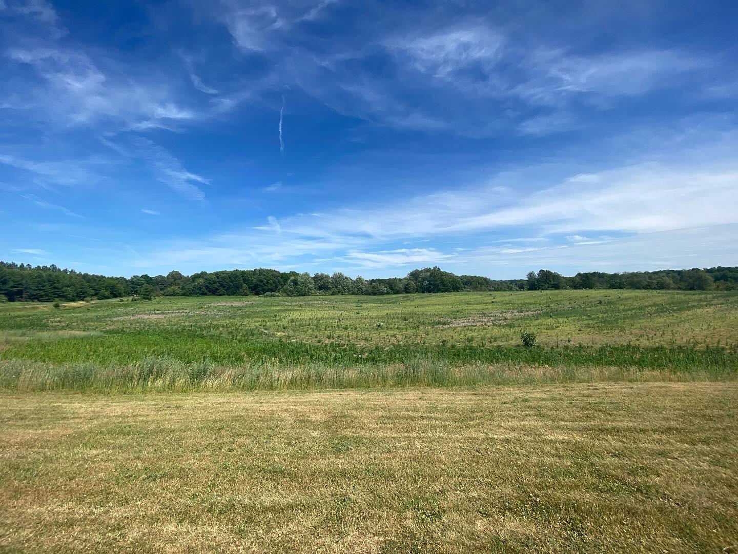 V/l West Pifer Road Delton, MI 49046 - Photo 26 of 26 E57CF1D2-F3C9-4F87-83A4-7676A3816644