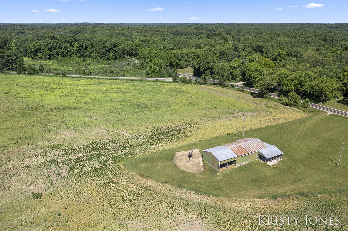 V/l West Pifer Road Delton, MI 49046 - Photo 6 of 26 IMG_1002