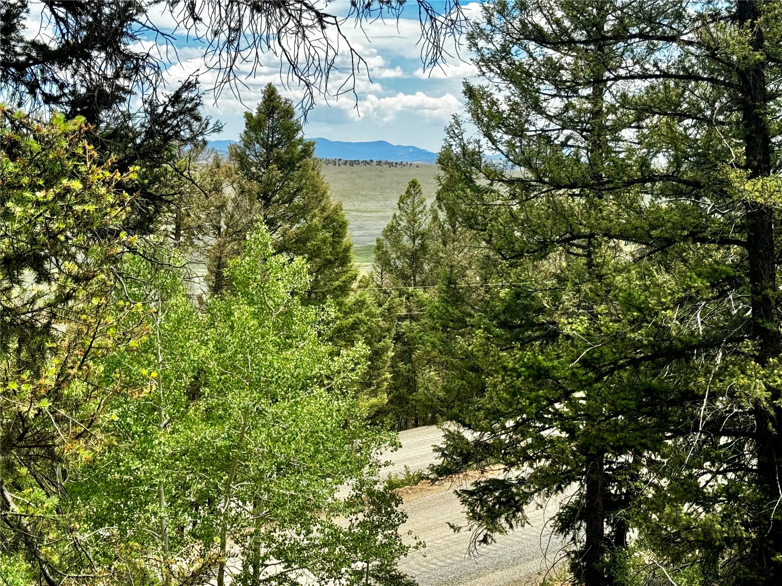 1063 Redhill Road Fairplay, CO 80440 - Photo 10 of 31 Gallery Image 10