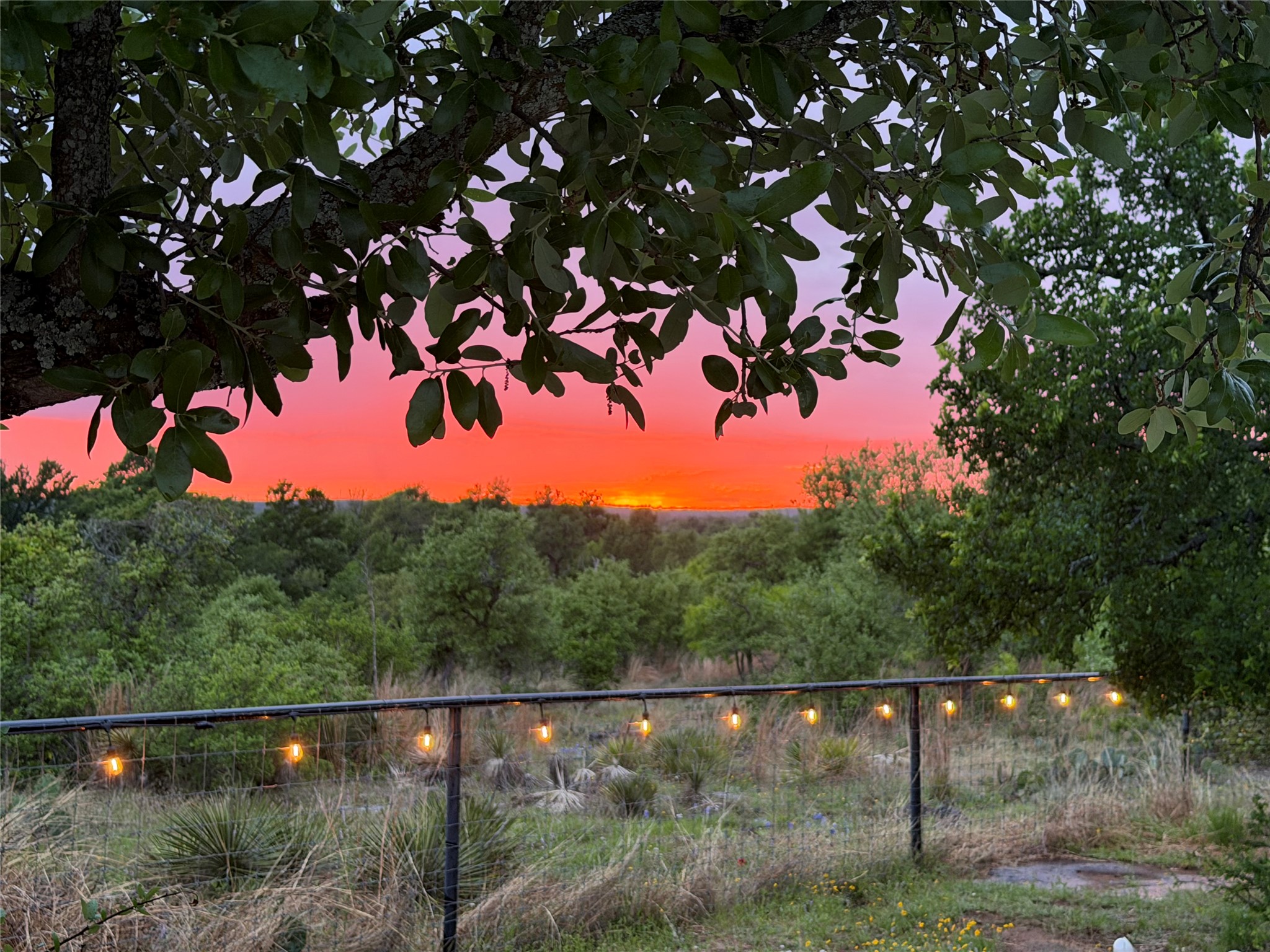 272 Slate Rock Road Fredericksburg, TX 78624 - Photo 29 of 32 Golden hour glow over a verdant landscape, framed by tree branches and inviting string lights.