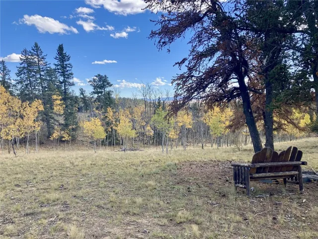 a view of a yard with a tree