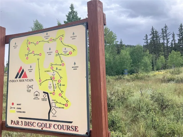 a view of a garden with plants