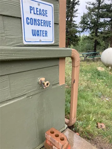 a view of a forest with a tree
