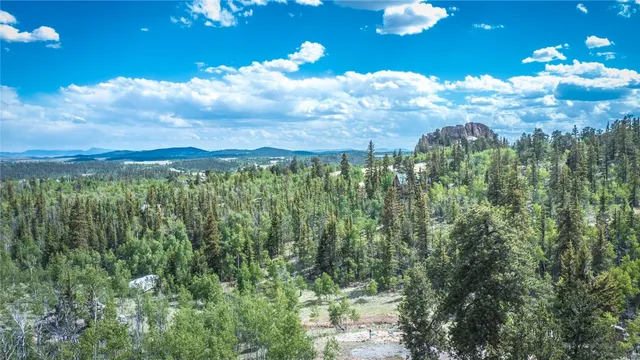 a view of a city with lush green forest