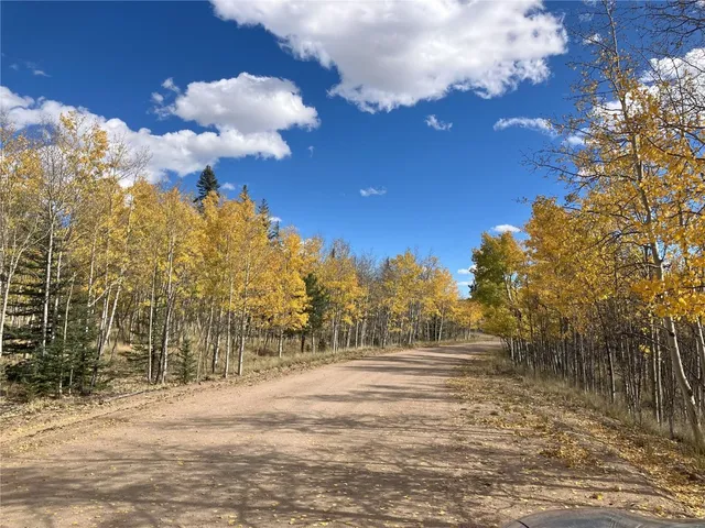a view of road with large trees