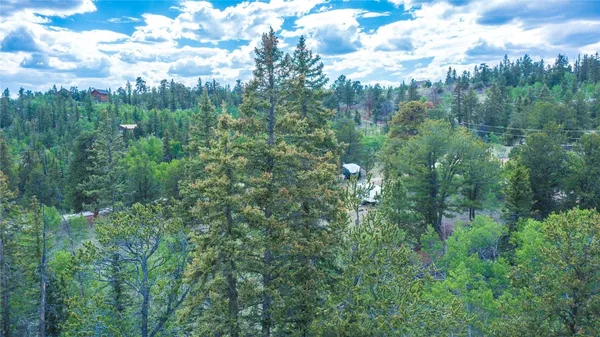 a view of a city with lush green forest