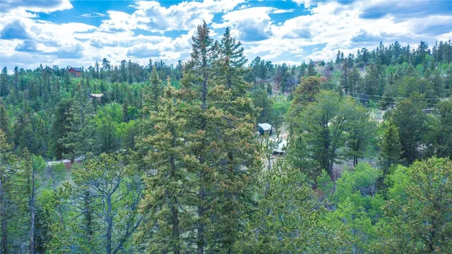 a view of a city with lush green forest