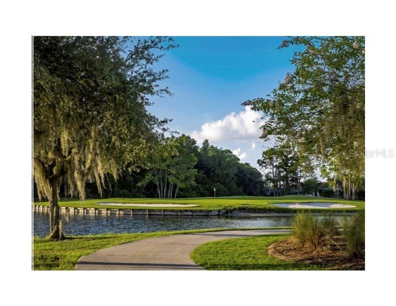 11751 Aintree Court Trinity, FL 34655 - Photo 38 of 45 a view of a lake