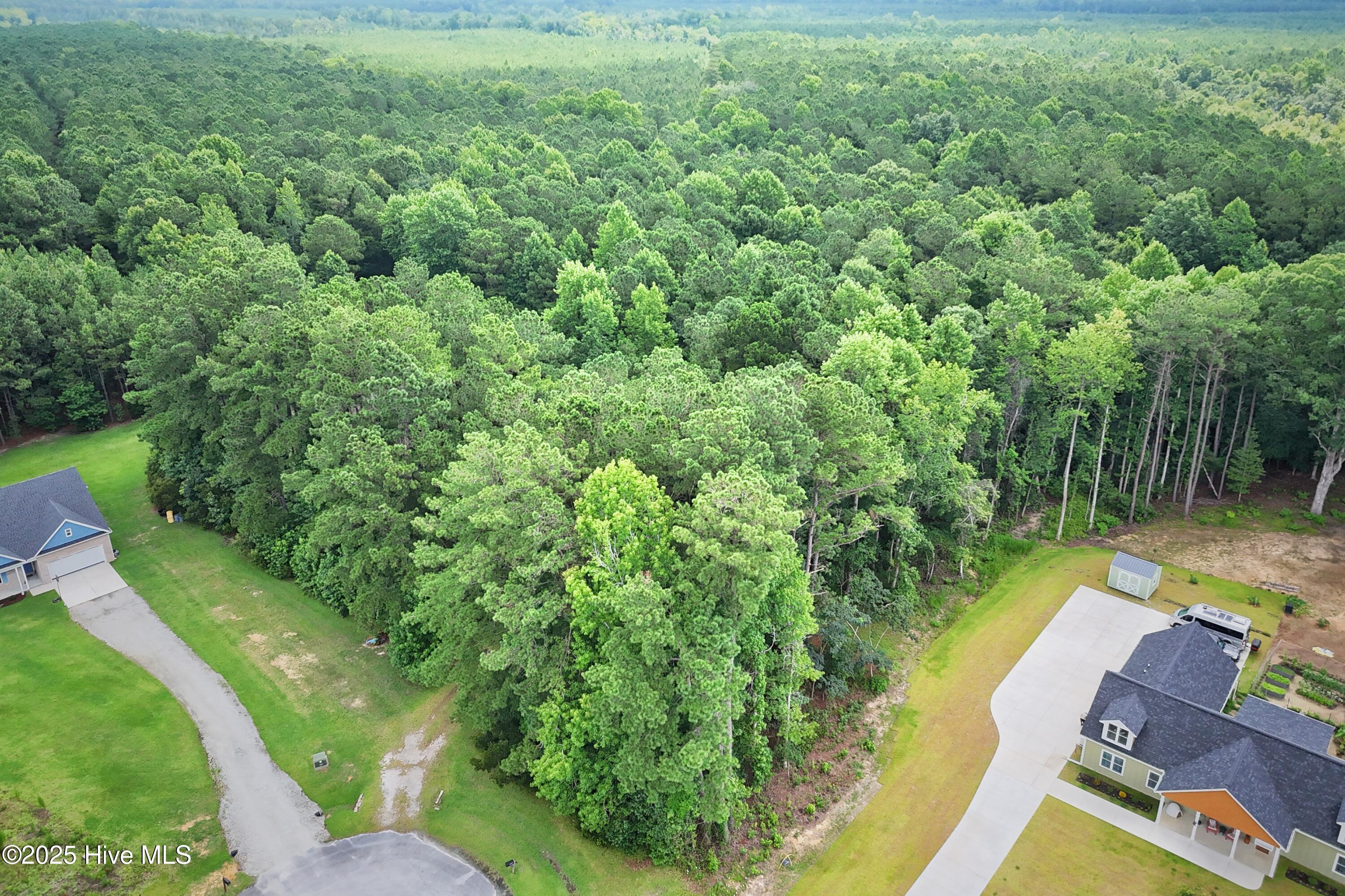 740 Log Cabin Road Arapahoe, NC 28510 - Photo 6 of 69 13 Acres of Privacy