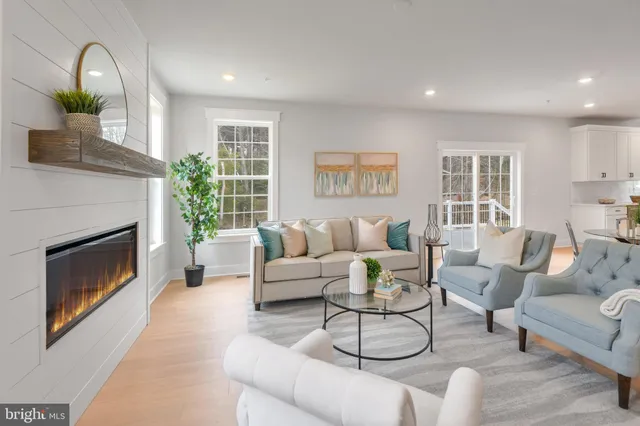 a living room with furniture potted plant and a fireplace