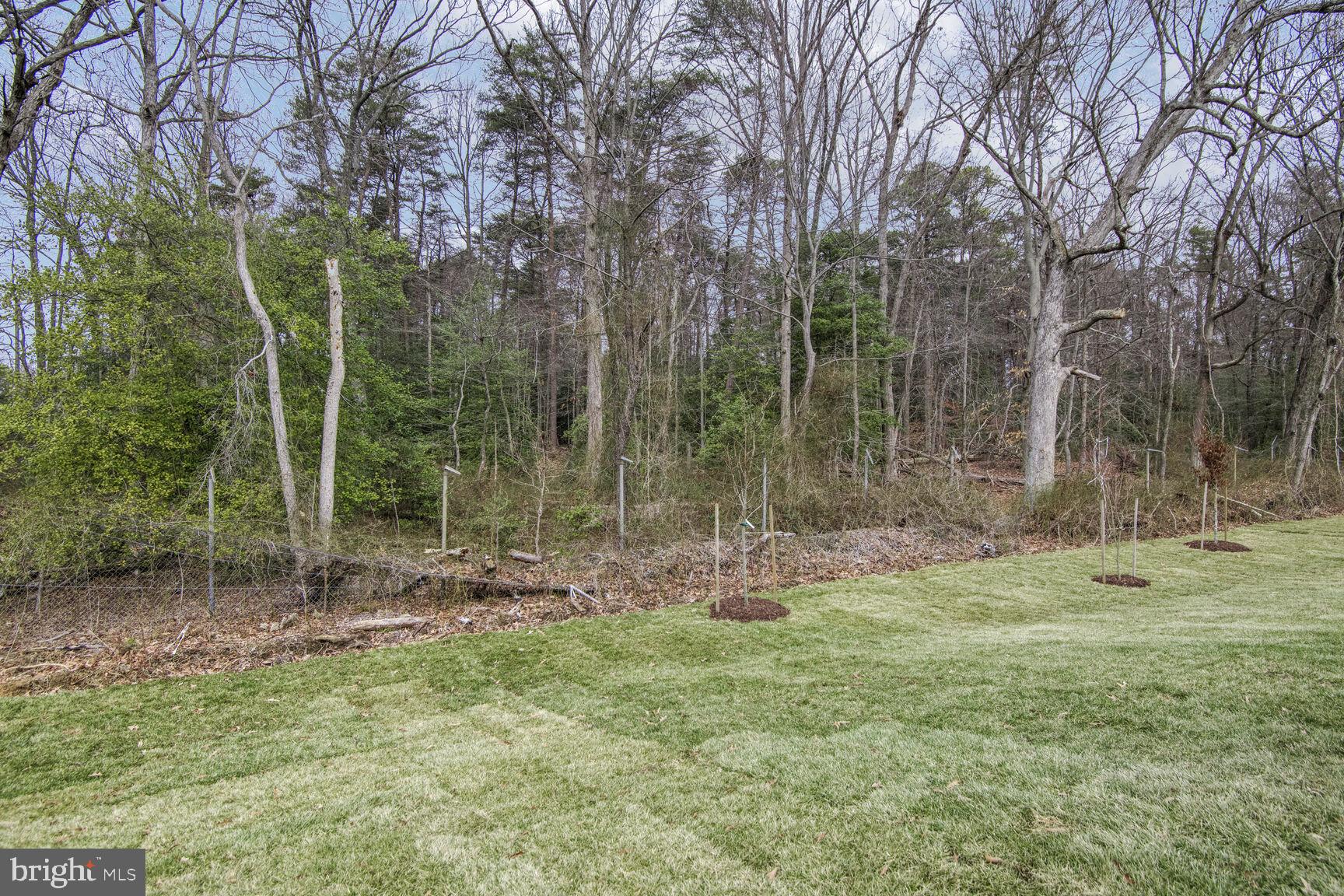 Eliana Court Laurel, MD 20708 - Photo 39 of 46