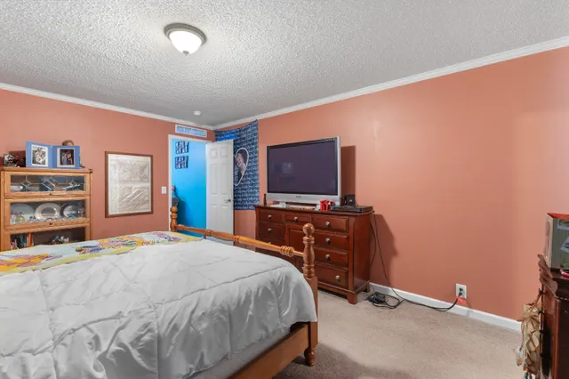 a front view of house with yard and trees all around