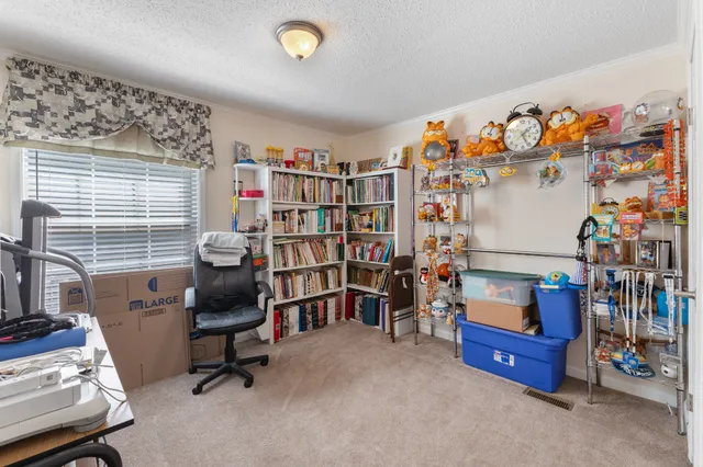 a view of back yard of the house