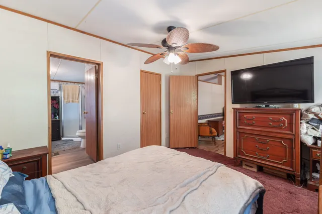 a close up of a plant in a garden