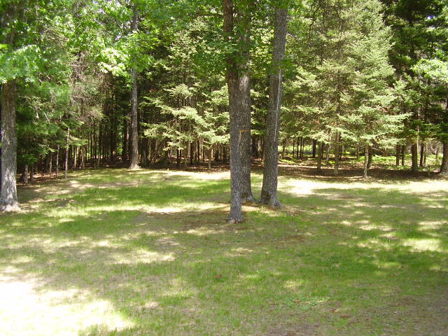 1886 North Red Oak Road Lewiston, MI 49756 - Photo 11 of 14 Gallery Image 11