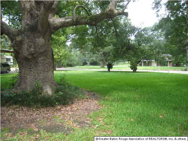 1020 North River Road Denham Springs, LA 70726 - Photo 21 of 21 Gallery Image 21