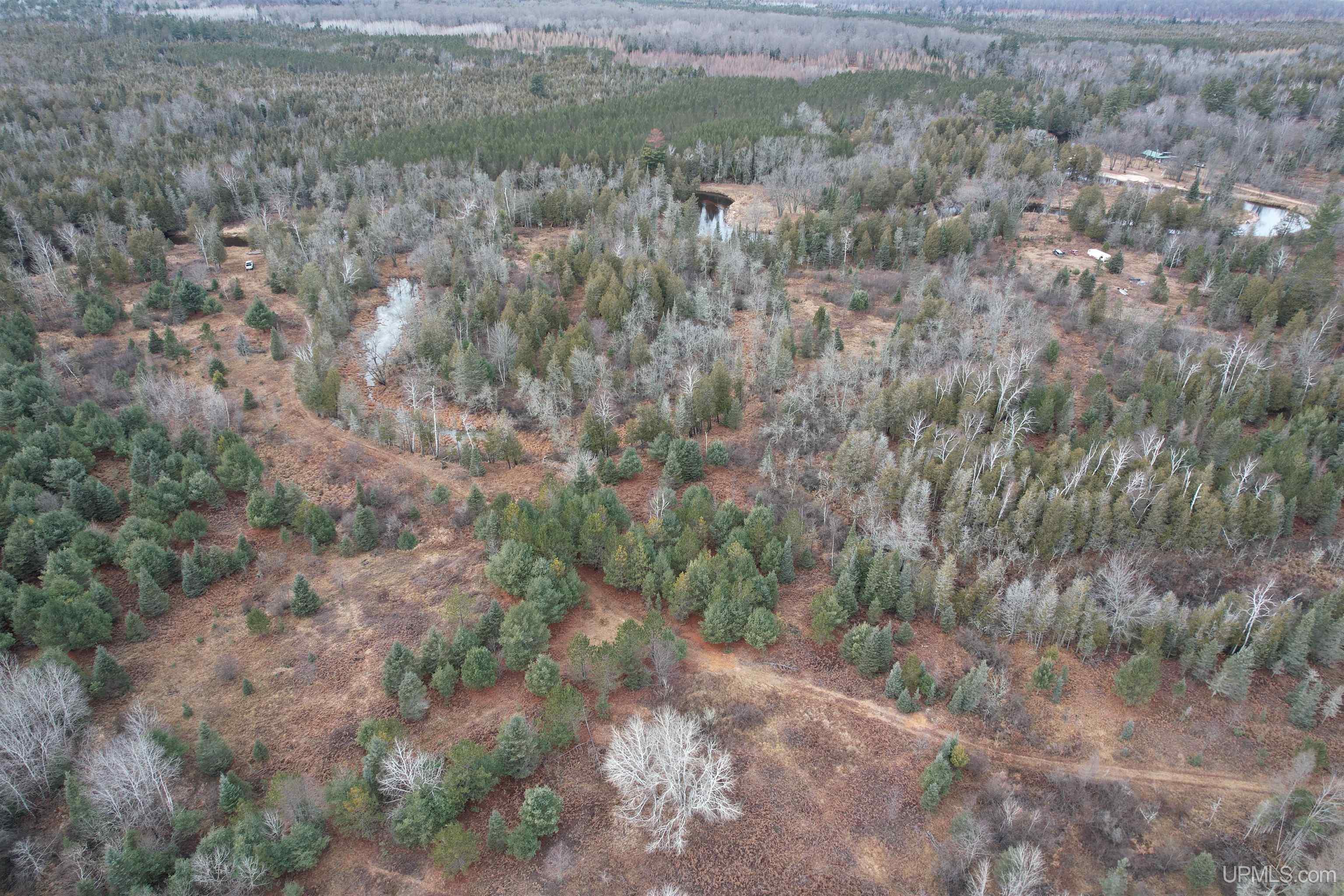 Tbd County Rd S C Road Cornell, MI 49818 - Photo 5 of 33