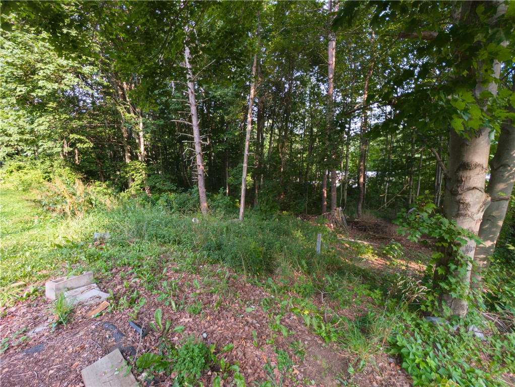 8699 Mattoon Road Cohocton, NY 14826 - Photo 31 of 43
