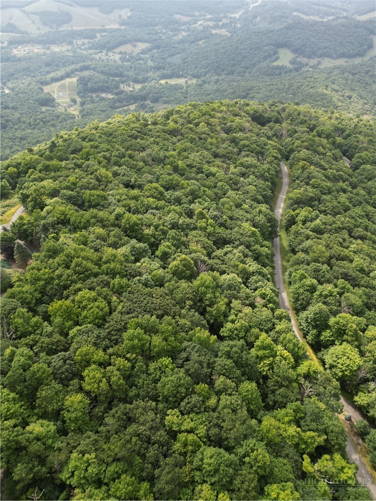 Little Tree Road West Jefferson, NC 28694 - Photo 15 of 15 a view of a big yard