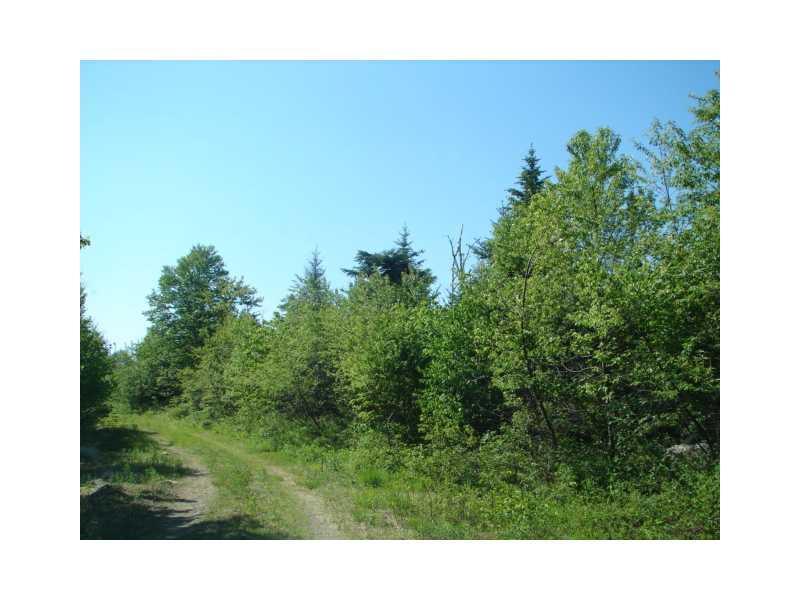 17 Yellow Birch Road Whiting, ME 04691 - Photo 1 of 1 Land.