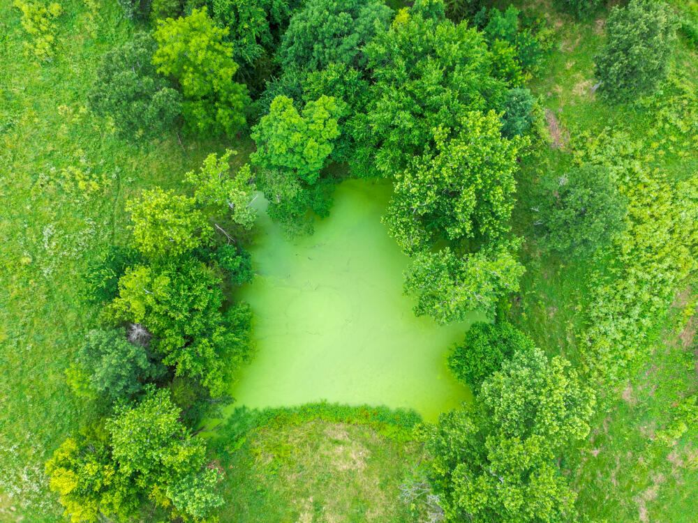 235 Springfield Road Buffalo, MO 65622 - Photo 33 of 47 DJI_0130