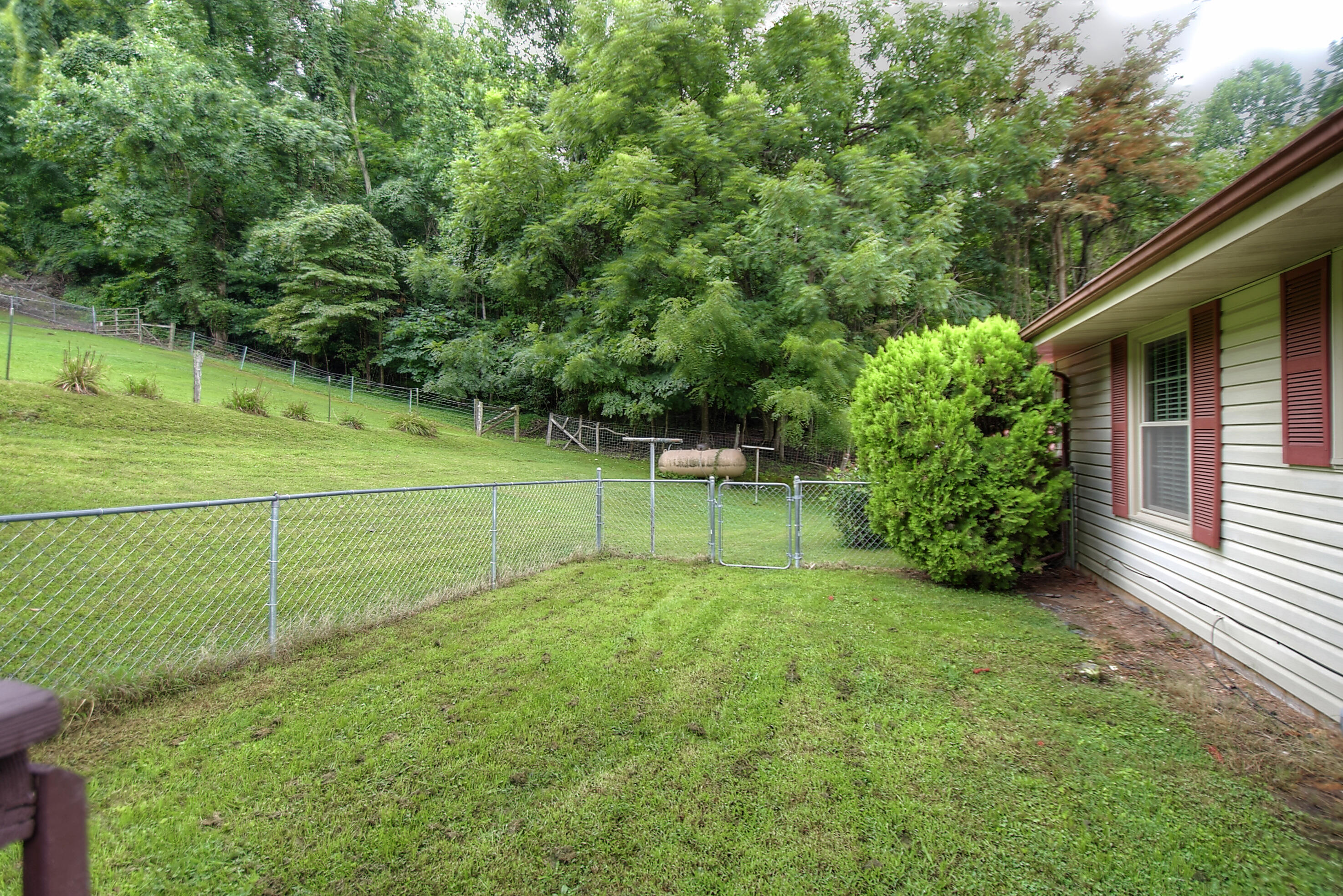 128 Hill Road Johnson City, TN 37601 - Photo 37 of 43 fenced back yard
