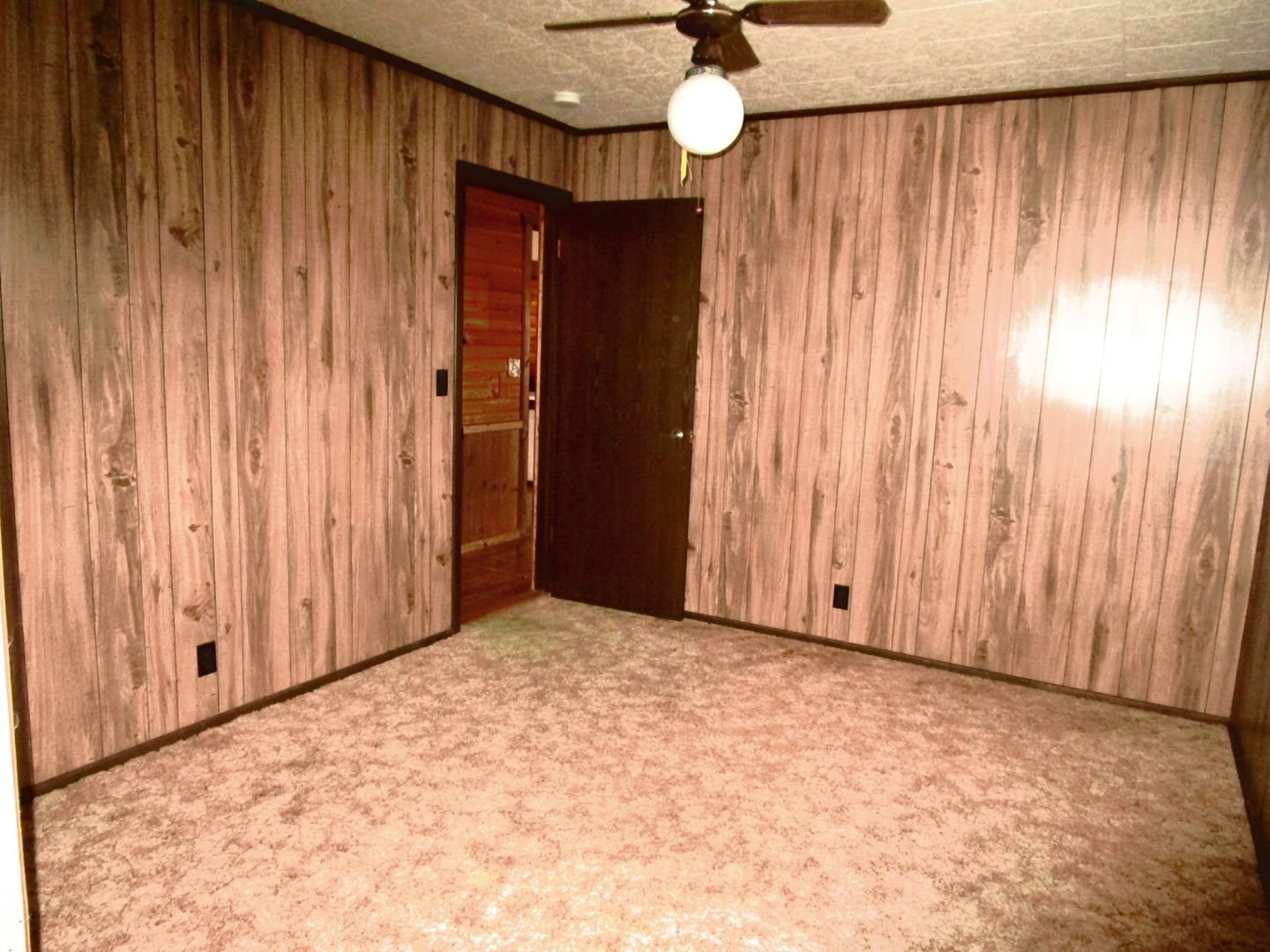 1713 Nauman Road Amboy, IL 61310 - Photo 21 of 38 a view of an empty room with wooden walls